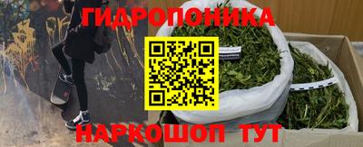 спиды Кинель
